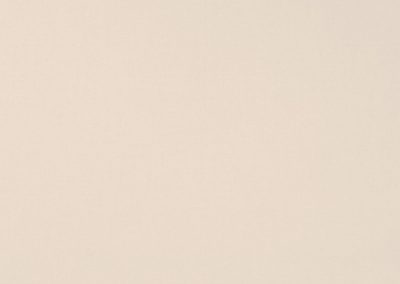 Dickson Infinity | Raw