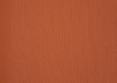 Dickson Max | Pumpkin