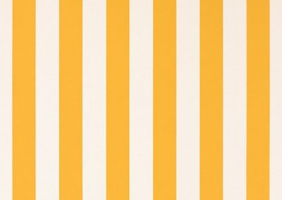 Dickson Orchestra | BS Yellow