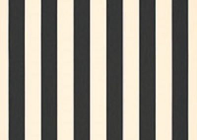 Dickson Orchestra | Black and White