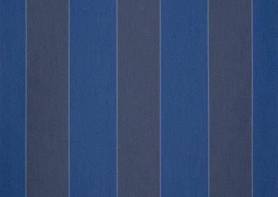 Dickson Orchestra | Block Blue