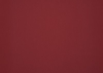 Dickson Orchestra | Carmine