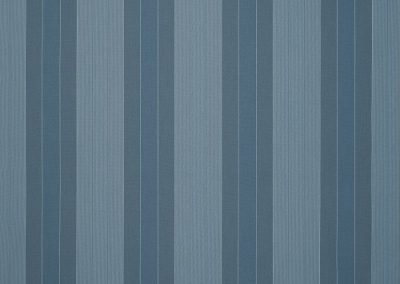 Dickson Orchestra | Craft Blue