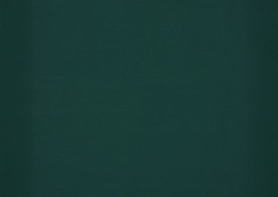 Dickson Orchestra | Forest Green