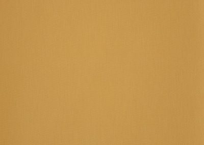 Dickson Orchestra | Gold