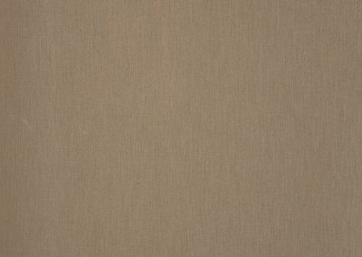 Dickson Orchestra | Heather Chine