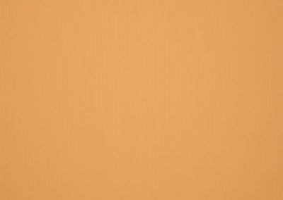 Dickson Orchestra | Honey