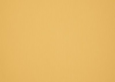 Dickson Orchestra | Maize