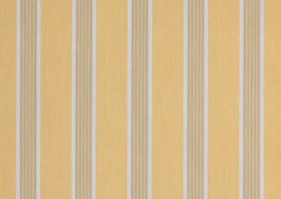 Dickson Orchestra | Manosque Yellow