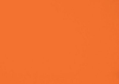 Dickson Orchestra | Orange