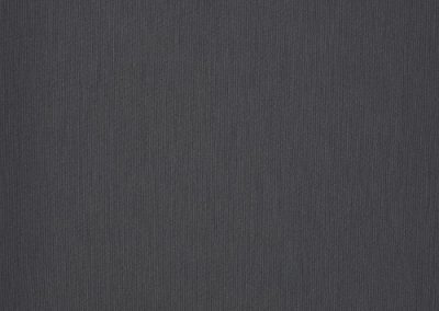 Dickson Orchestra | Steel