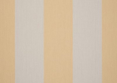 Dickson Orchestra | Wide Chine Yellow