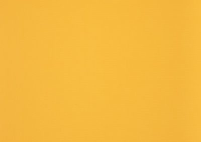 Dickson Orchestra | Yellow