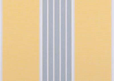 Docril Designs | 365