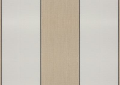 Docril Designs | 502