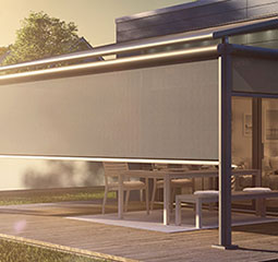 plaza viva and vertitex